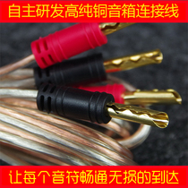 Speaker cable Speaker cable 5N pure copper gold-plated banana plug antioxidant gold and silver speaker cable