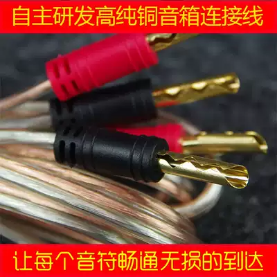 Sound box wire horn wire 5N pure copper gold-plated Banana plug antioxidant gold and silver speaker cable