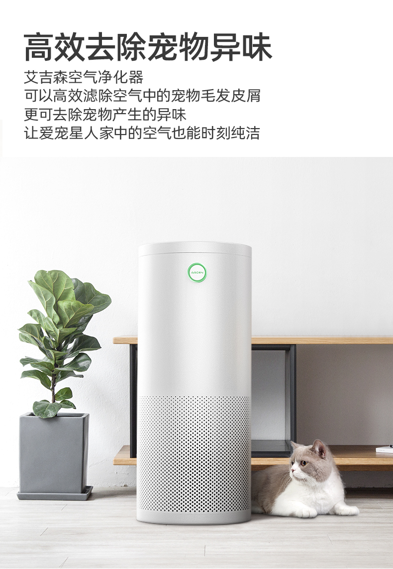 T01A详情上_17.jpg