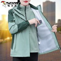 Бин зеленый