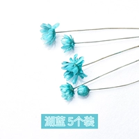 Бразильское звездное цветочное озеро синее