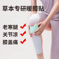 Knee Special Warm Baby Stick Warm Sticker Fever Sticker 12 When Hot Post Warm Knee Hot Compress Stick Warm Sticking Warm Kneecap