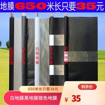 Agricultural Insulation Black & White Mulch Weeding Bicolor Light Reflecting Silver Black Mulch Orchard Vegetable Greenhouse Insect Proof Engineering Film
