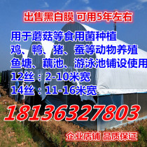 Black and white film cultured greenhouse film sunscreen Edible Mushroom planting film shading photophobic mesh black and white bicolor cooling film