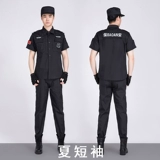 Черный демисезонный лонгслив для работы, осенний сезон