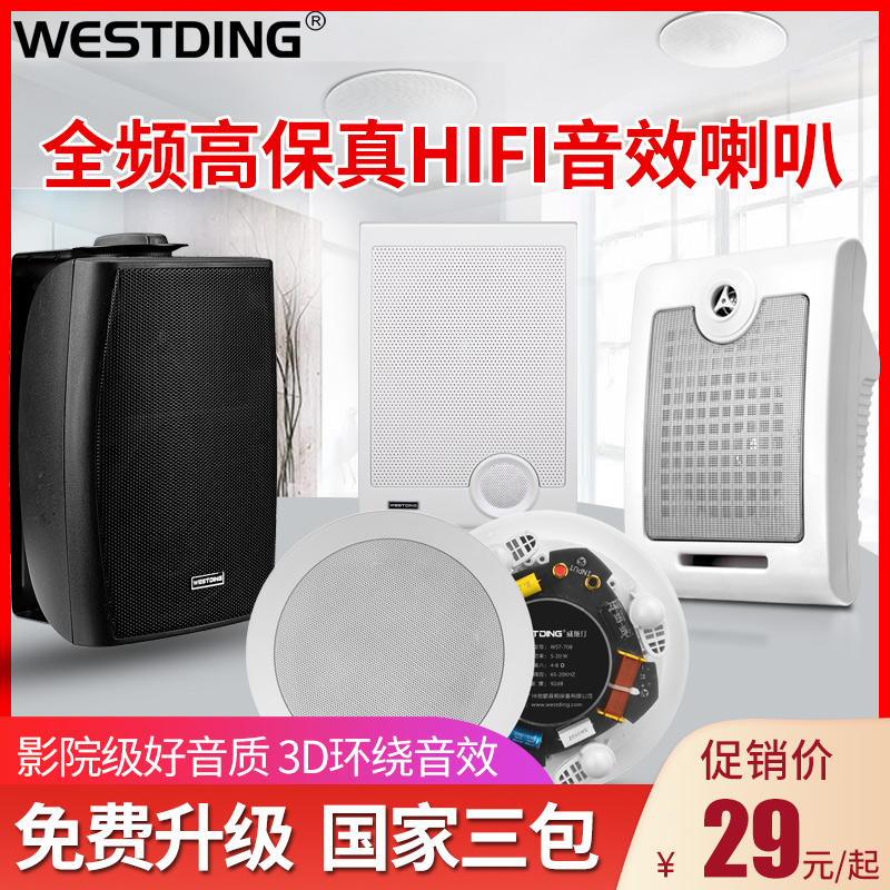 Westin ceiling wall speaker Shop home suspended ceiling set Indoor and outdoor dining room background music Public broadcast