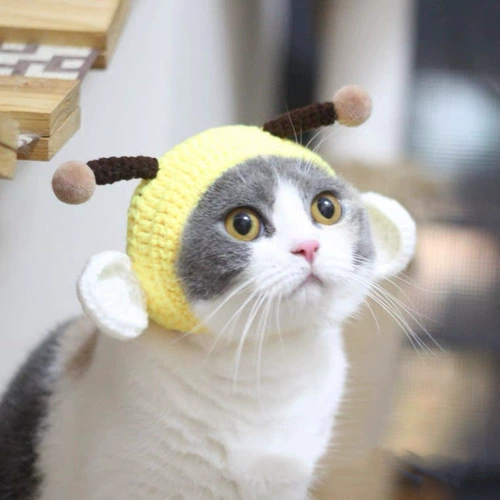 Шлем, трикотажная шерстяная милая шапка, аксессуар для волос, популярно в интернете