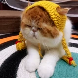 Шапка, аксессуар для волос, трикотажный шерстяной милый шлем с косичкой