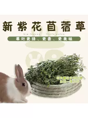 Spot 2021 New alfalfa grass rabbit grain young rabbit droop Chinchilla guinea pig feed hair 1kg