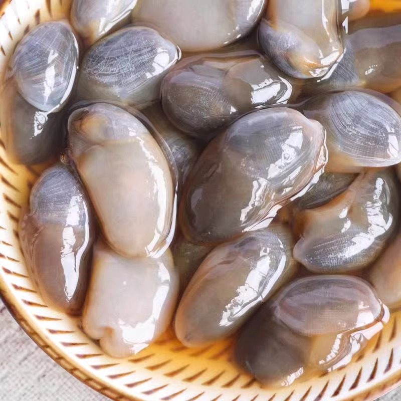 舟山黄泥螺：鲜美大个头，一口一个满足感！-泥螺-淘宝好物网