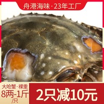 Zhougang Seafood 500g Shuttle crab ready-to-eat red cream crab Whole female crab choking crab pliers sauce marinated crab paste cream Ningbo bread