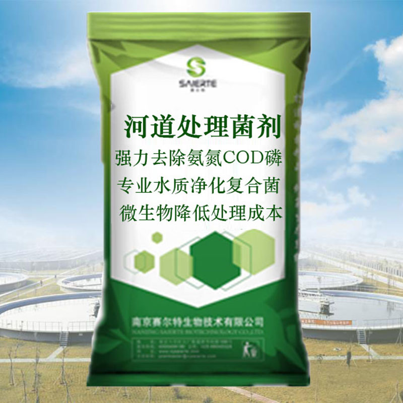 河道水质净化剂复合菌污水处理降氨氮COD磷去除率高河道净水厂家