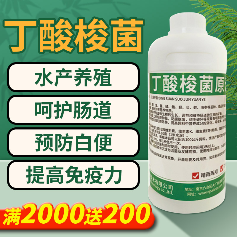 丁酸梭菌原液菌种对虾白便肠炎空肠空胃修复肠道增粗诱食水产养殖