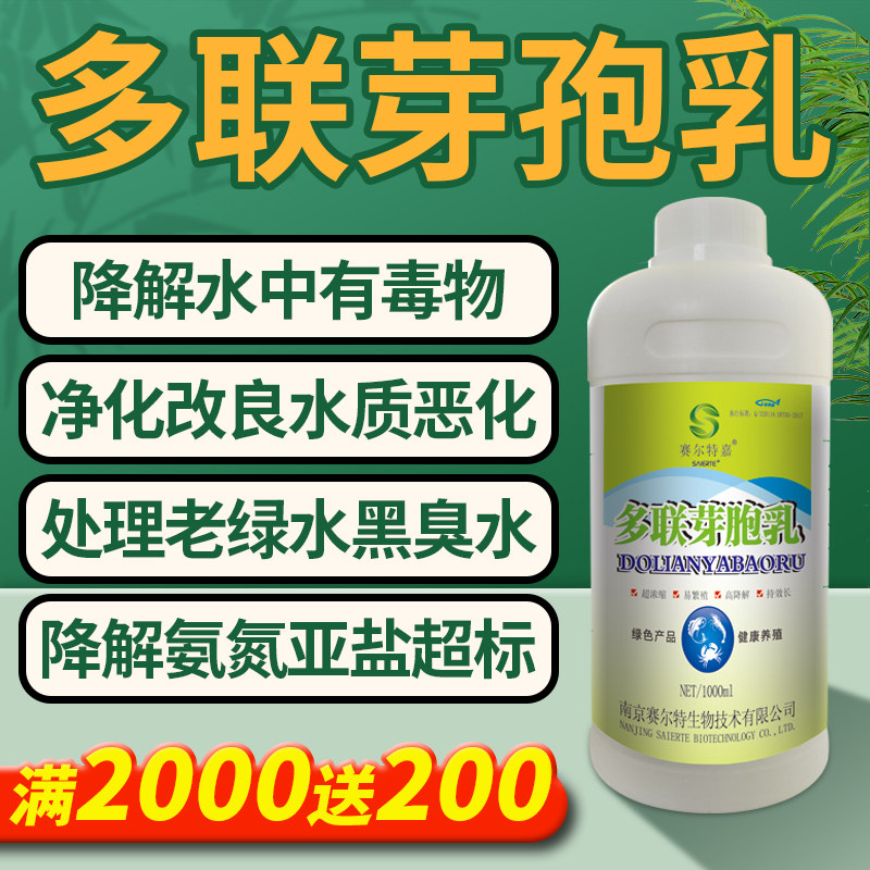 多联芽孢乳杆菌枯草芽孢杆菌水产养殖复合芽孢杆菌水族枯草杆菌