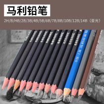 Marley sketch pencil Beginner drawing Professional drawing brush pencil C7401 Sketch drawing