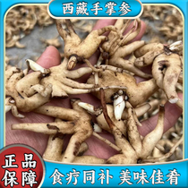 Tibets authentic specialty wild palm ginseng bergamot ginseng wild ginseng 100g packed with fresh food therapy and supplements as a gift