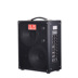 Michael MG882A loa ca sĩ đi lạc 100 watt sạc đường phố đệm guitar acoustic - Loa loa lg xboom rn7 Loa loa