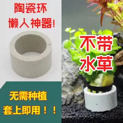 Lucky water grass fixed ring fish tank landscape aquarium decoration in the back scene is really lazy water grass sinking bottom ceramic ring