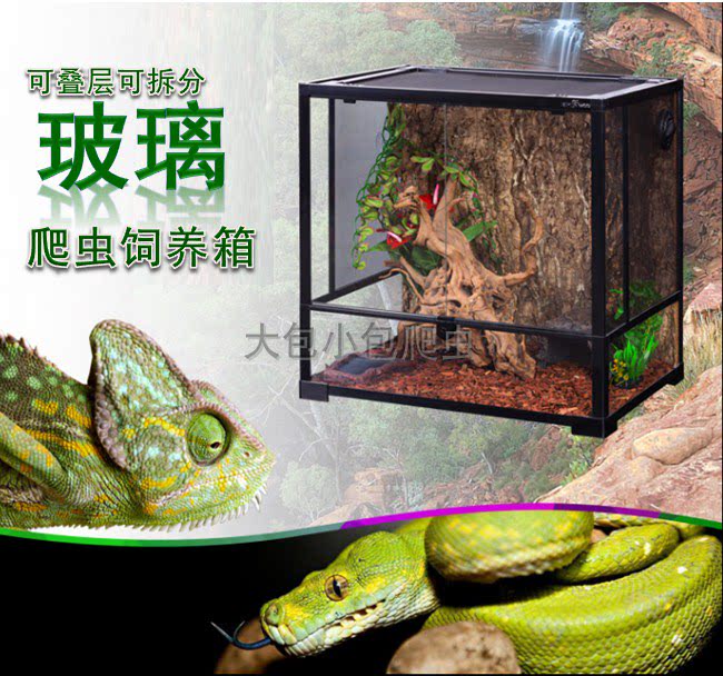 REPIZOO removable glass reptile feeding case for chameleon turtle tree frog lizard mane RK0105S