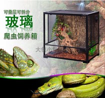 REPIZOO removable glass reptile feeding case for chameleon turtle tree frog lizard mane RK0105S