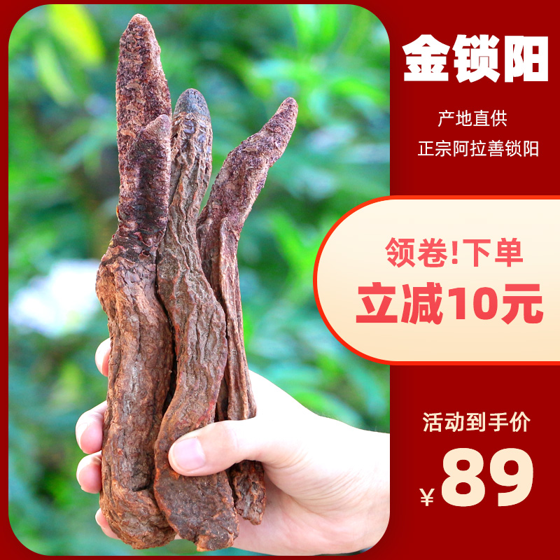 Lock Yang 500g Bubble Wine Material Nourishing cistanche Turbi Wort not wild tea is not a special grade dry sheet bubble water