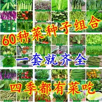 Vegetable seed combination package Small package Balcony potted non-GMO four seasons easy to grow summer rapeseed