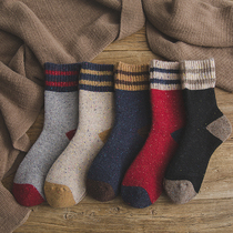 Socks Children Autumn Winter Plus Suede Thicken Warm Lady Hair Circles Midbarrel Socks Day Retro Towel Bottom Lady Stockings Socks