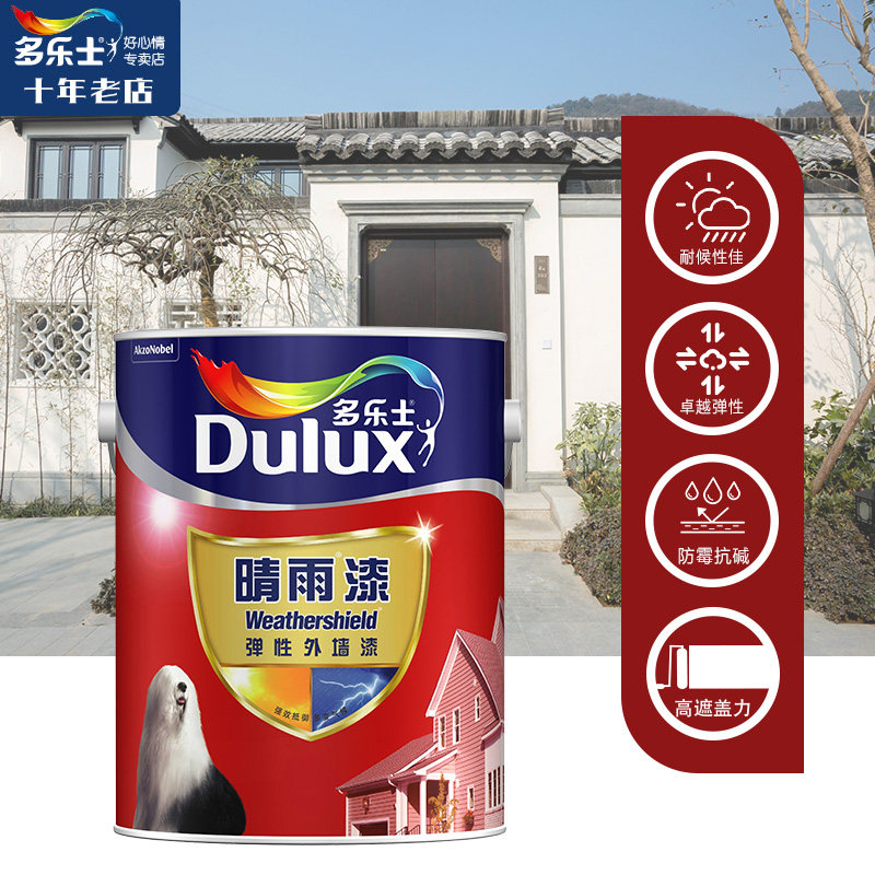 Doroth elastic rain and shine paint 5L weatherproof waterproof white paint