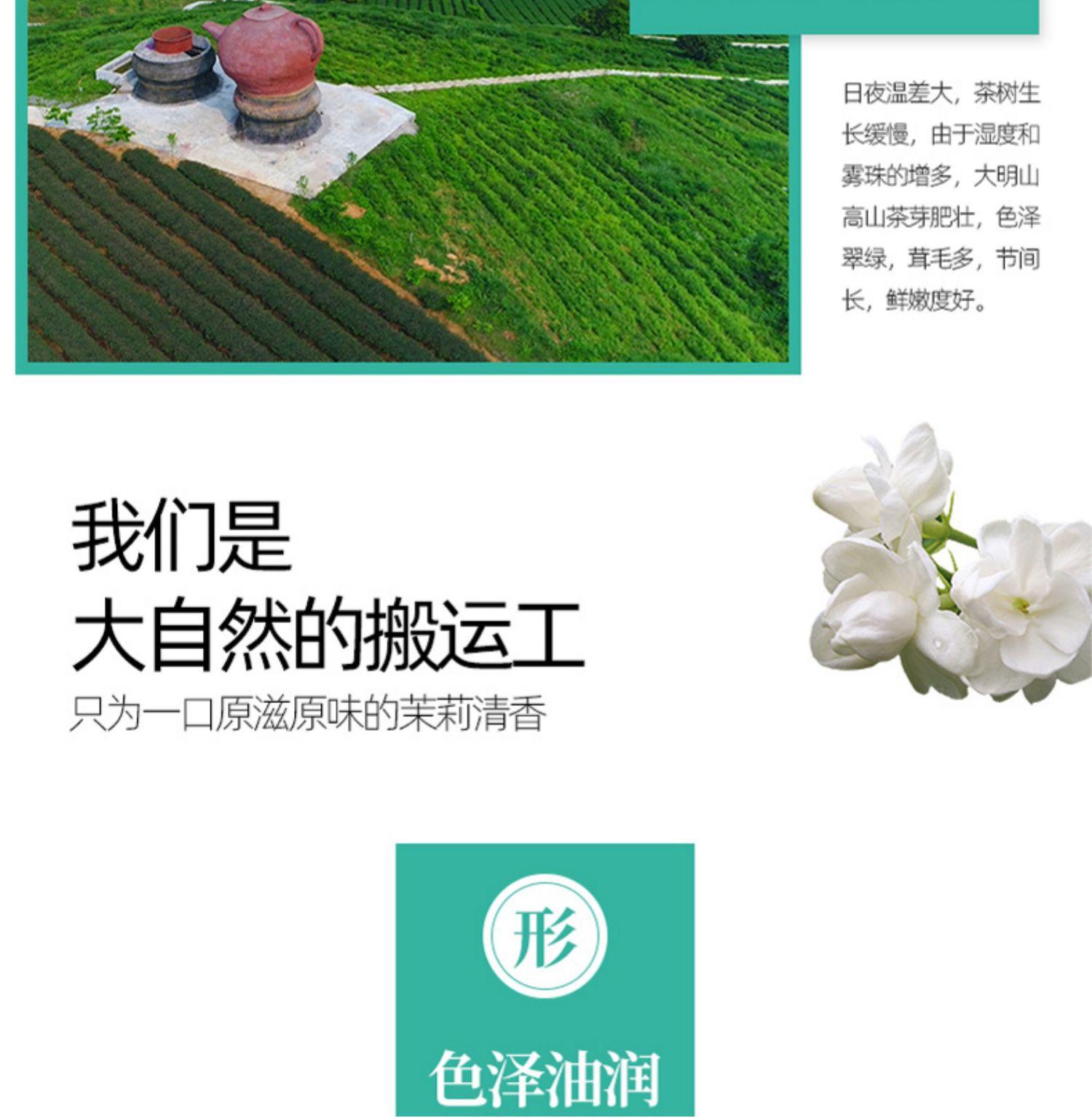 中国农垦茉莉花茶250g