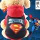 Quần áo cho chó quần áo mùa xuân và mùa thu nữ Teddy chó nhỏ hơn chó Xiong Bomei - Quần áo & phụ kiện thú cưng áo cho chó giá rẻ