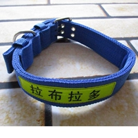 Синий чокер