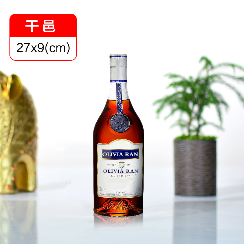 High-end Whisky Emulation Wine Decoration Foreign Wine Bottle Furnishing Empty Bottle Fake Wine Shooting Props Night Club Wine Cabinet Hem