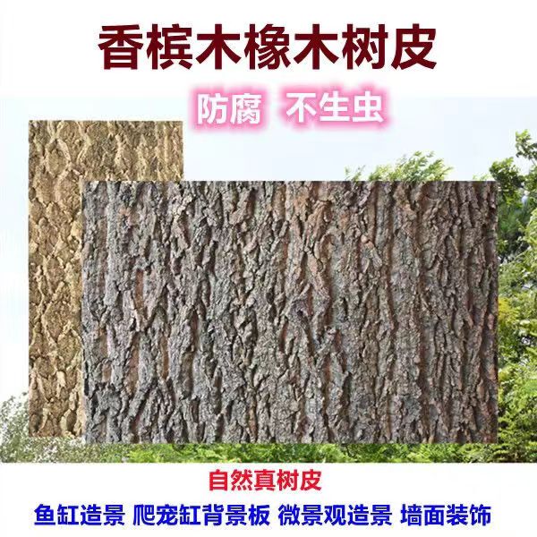 Champagne Bark Landscaping Decorative Pillar Oak Bark Board Aquatic and Terrestrial Tank Micro-Landscape Reptile Enclosure Rainforest Tank Background Board