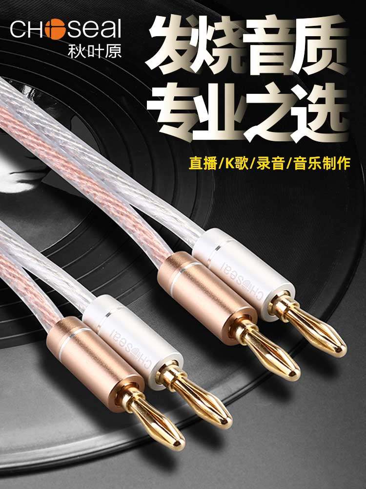 Akihabara Speaker Cable Pure Copper Speaker Wire Fever-Grade Audio Connection Cable Home Speaker Cable Amplifier Banana Head Cable