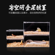 Reptile acrylic feeding box Pet box Spider guarding the palace horned frog beetle silkworm snake song insect grasshopper climbing pet box