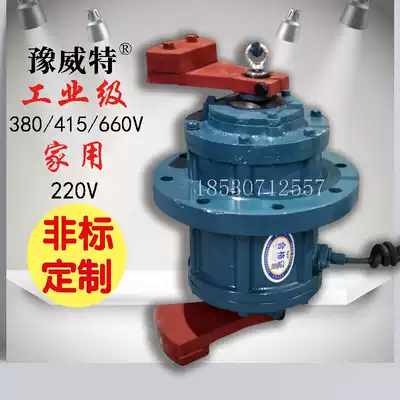 Vertical vibration motor 380V220V industrial three-phase asynchronous motor Small vibration motor for vibrating screen