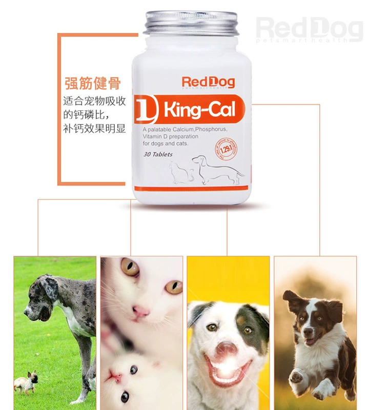 Chó đỏ Canxi Chó con Người lớn Mèo và Chó Cao xương Canxi Tăng cường ăn uống ngớ ngẩn Thú cưng dài Canxi 30 Viên nén - Cat / Dog Health bổ sung