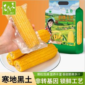 辰旭稼禾东北今年采摘黄糯玉米大粒苞米棒真空锁鲜嫩苞谷软糯香甜