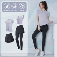 短 Purple+Black [короткий рукав] Четырех -купальника TC17947