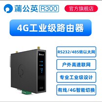 Dandelion R300 router 4G intelligent rail type flow card remote PLC data 485 to Ethernet serial port
