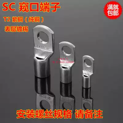 SC16-6 8 10 Copper Nose Glimpet Nose Cable Connector Copper Tube Tear Terminal Thickened 16 square