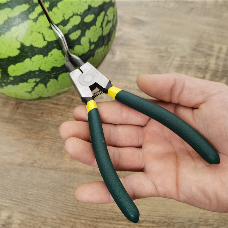Snapping Watermelon Divine Instrumental Opening Watermelon Tool Watermelon Divider for meat Watermelon Opener Watermelon Opener for watermelon