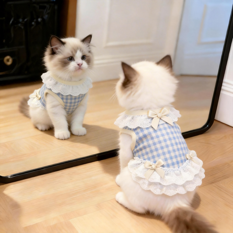 Summer Cat Clothes, Breathable French Bow Princess Dress, Ragdoll Silver Gradient Cute Small Puppy Dress Summer Cat Clothes, Breathable French Bow Princess Dress, Ragdoll Silver Gradient Cute Small Puppy Dress