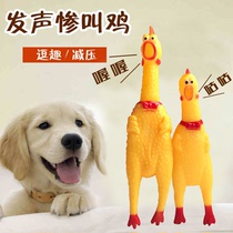 Small Dogs Toy Bite Resistant Grindle Teeth Shake Sound Exploits Teddy Puppies Vocals Toy Pet Supplies