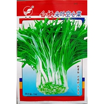 White-stalked tip-leaved convolvulus seeds small-leaf white-stem macaroni spinach spinach vine vegetable seeds 10 grams about 100 grains