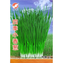 Four seasons chive seeds small chive seeds spring and autumn sowing vegetable seeds green Fengyuan 5 grams bag about 800 grains