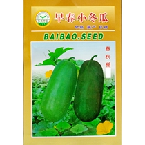 Early spring small wax gourd seeds zucchini precocious small mini wax gourd seeds Lvfeng garden seeds 5 grams bag about 60 grains