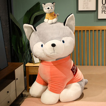 Emulation cute little puppies Mao suede Toys Haschi Gongzai Doll Doll Bed to Hold Girls Day Gift