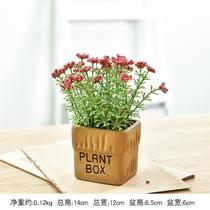 Small Green Basket Pendulum type Indoor plant Insert Vase Desk Glass Vase Hydroponic Wall Hydropony