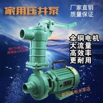 2021 New New 2021 flashlight dual-purpose high-pressure self-priming centrifugal well pump 220V electric manual dual-purpose